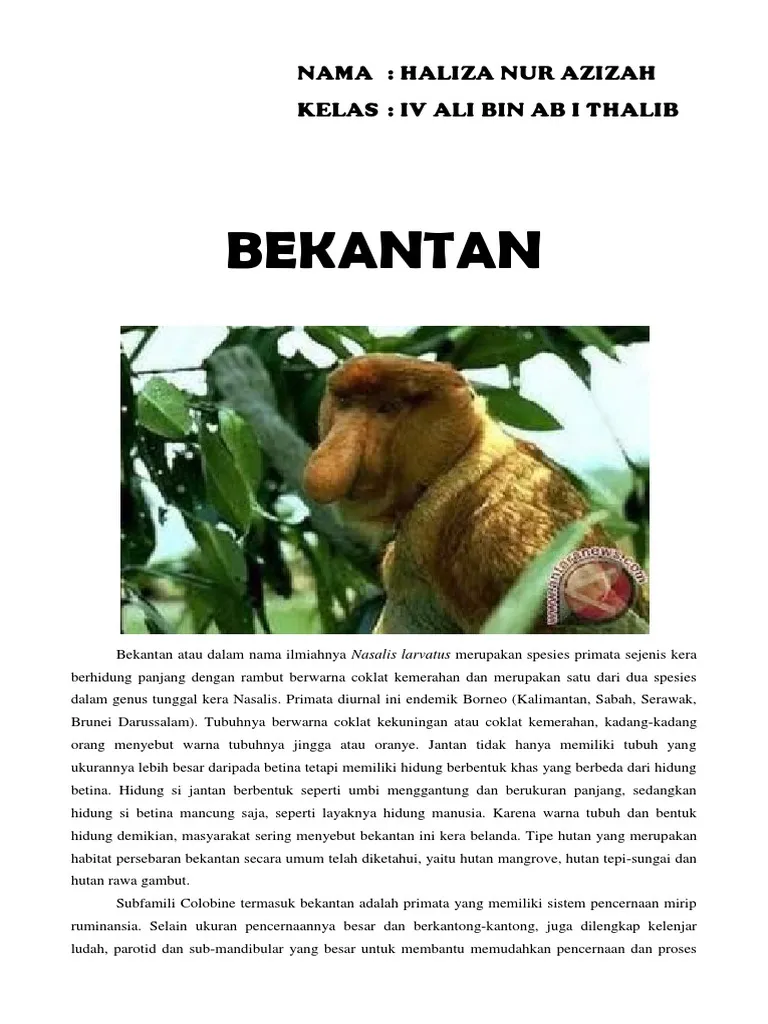 E-book Bekantan