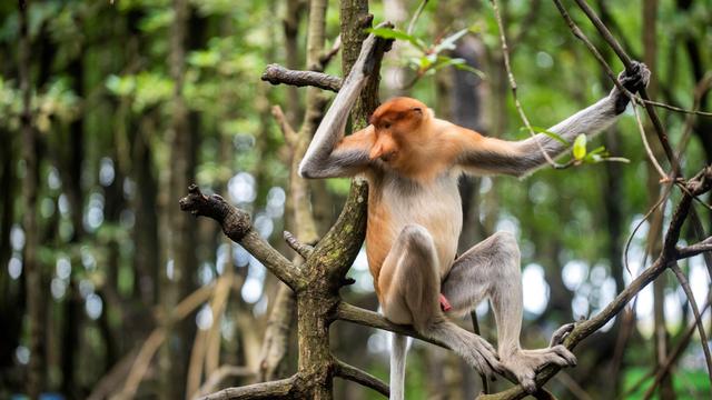 Aktivitas Konservasi 2